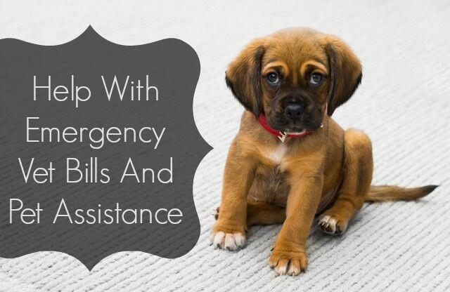 Vet Bill Resources | Military & Veteran